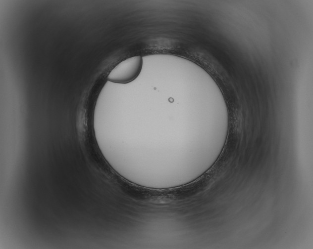 X0000100360731200806271423