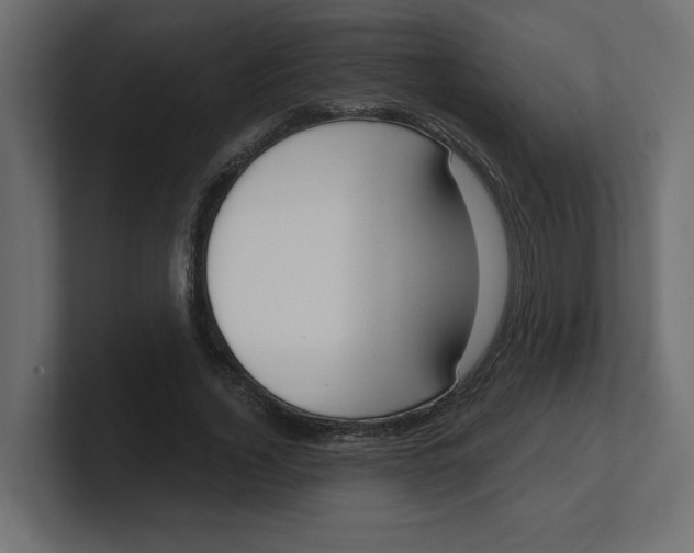 X0000100360732200806271423