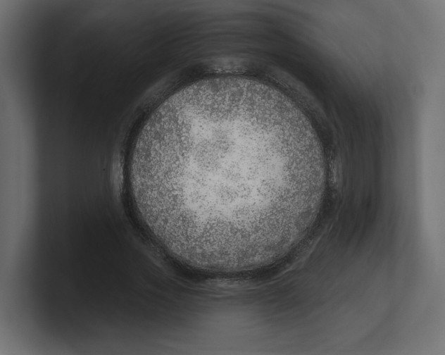 X0000100360733200806271423