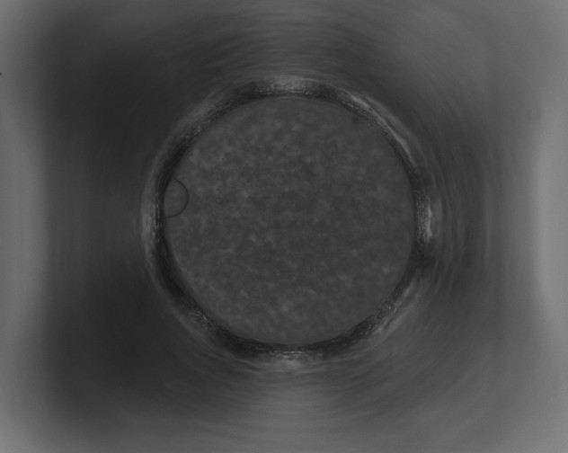 X0000100360736200806271423