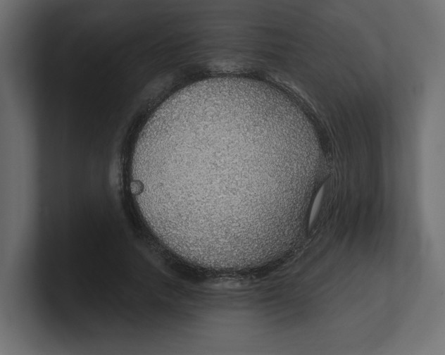 X0000100360738200806271423