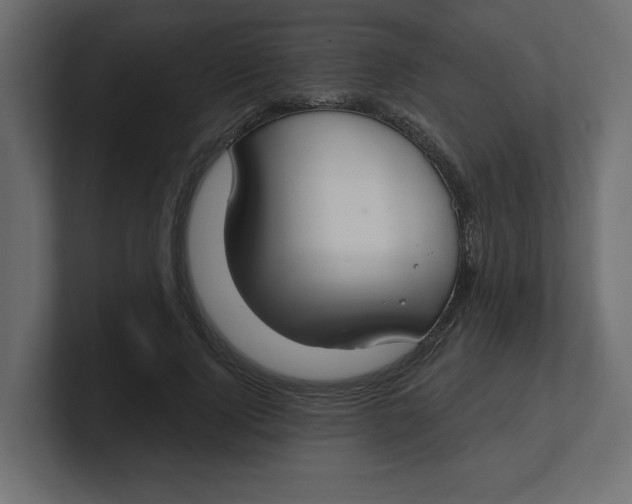 X0000100360740200806271423