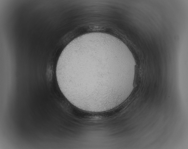 X0000100360741200806271423