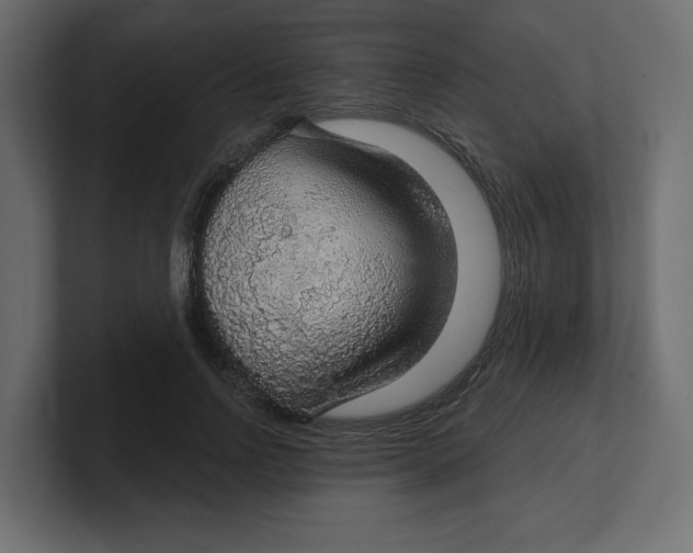 X0000100360742200806271423