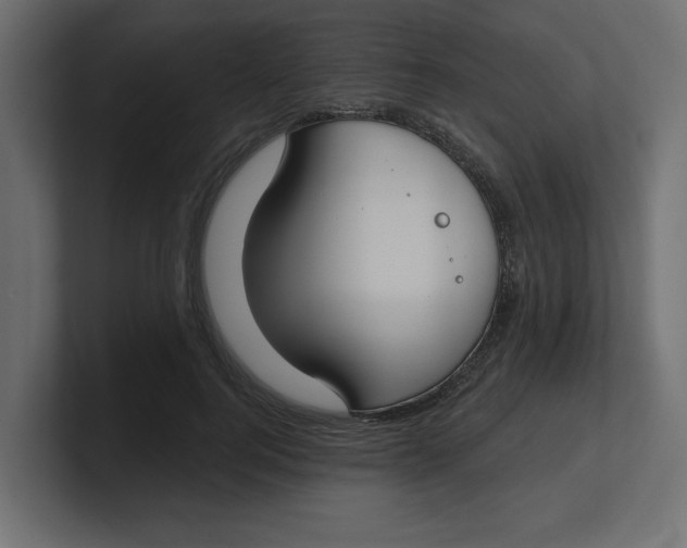 X0000100360744200806271423