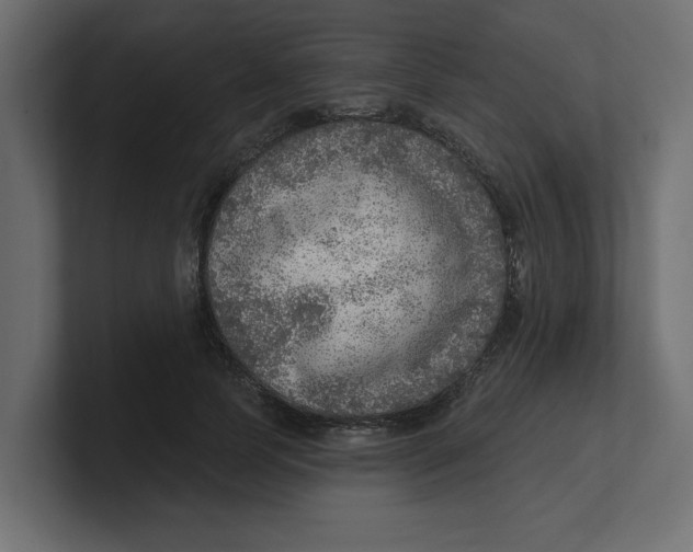 X0000100360745200806271423