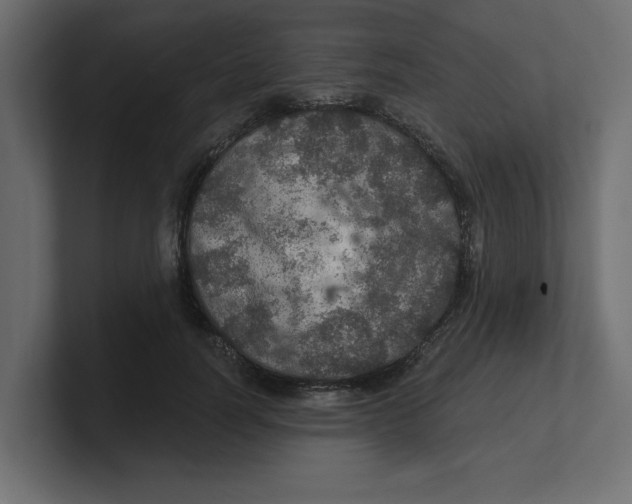 X0000100360746200806271423