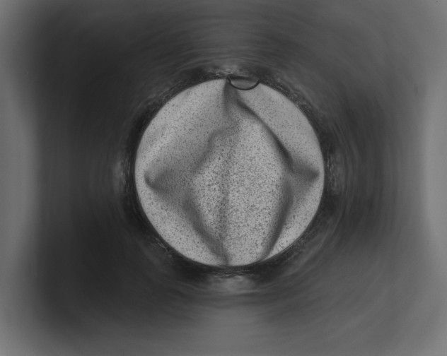 X0000100360747200806271423