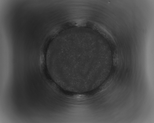 X0000100360748200806271423