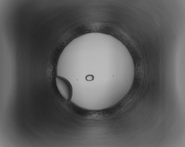 X0000100360750200806271423