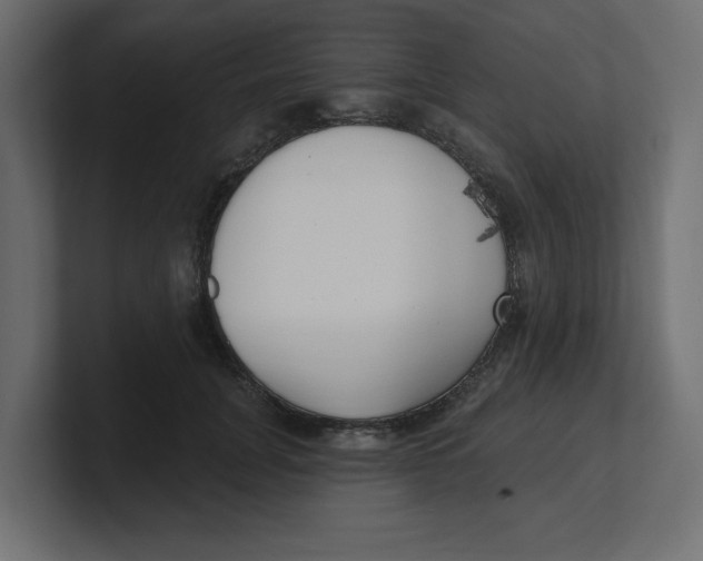 X0000100360751200806271423