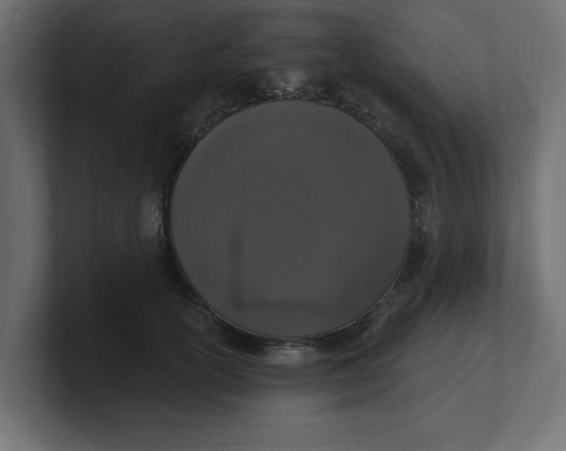 X0000100360754200806271423