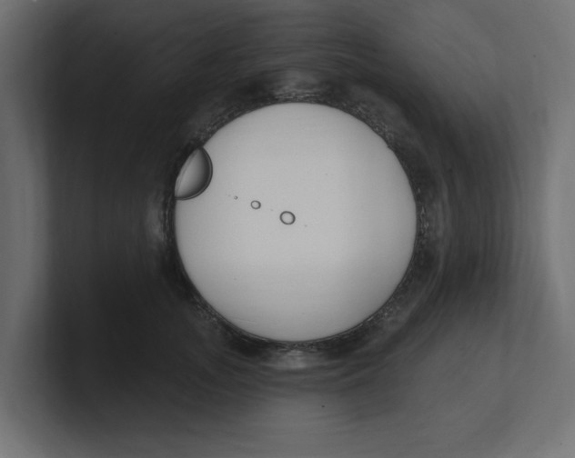 X0000100360755200806271423