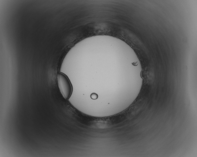 X0000100360756200806271423