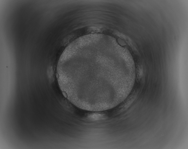 X0000100360759200806271423