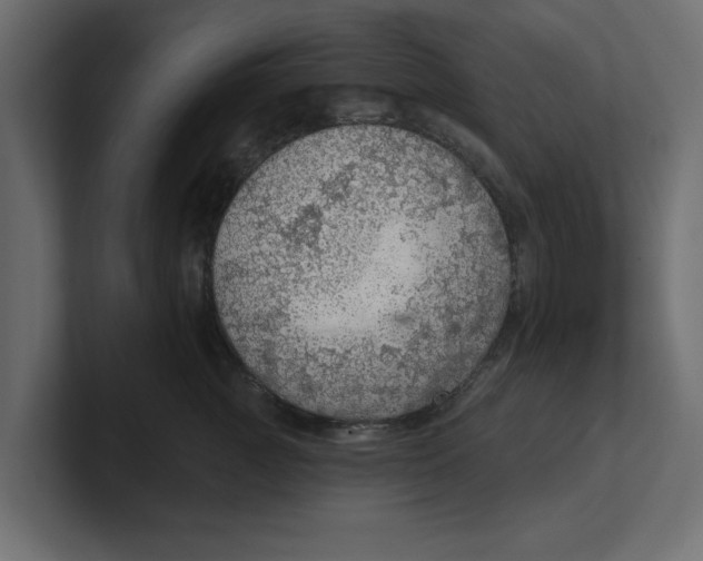 X0000100360761200806271423