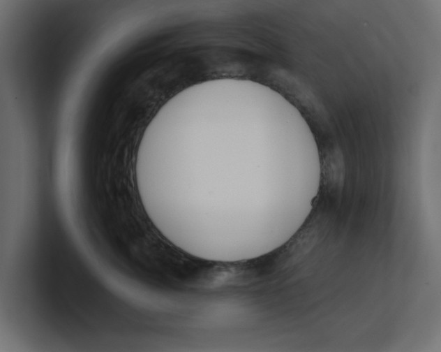 X0000100360764200806271423