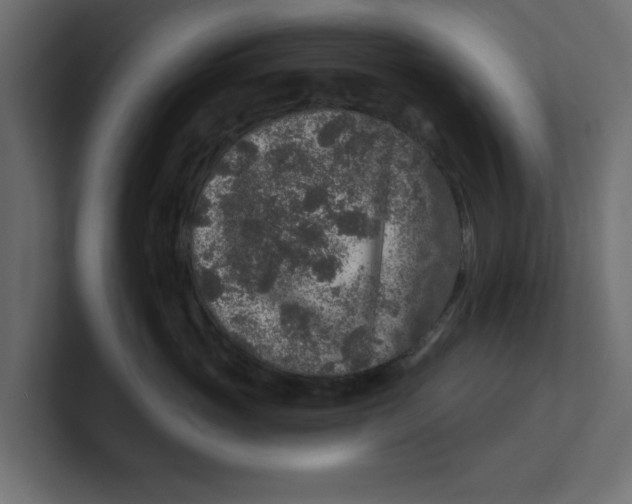 X0000100360765200806271423