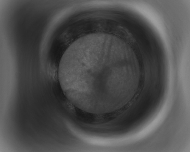 X0000100360766200806271423