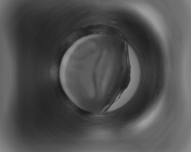 X0000100360767200806271423