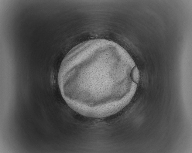 X0000100360770200806271423