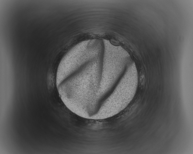 X0000100360772200806271423