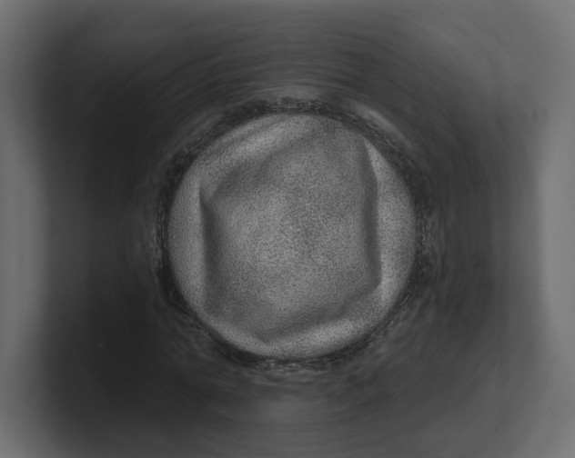 X0000100360774200806271423