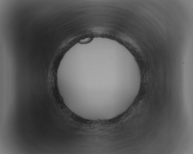 X0000100360776200806271423