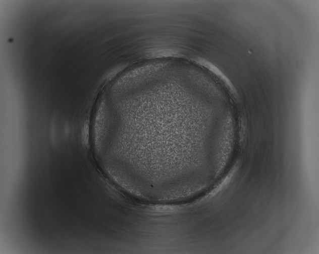 X0000100360777200806271423