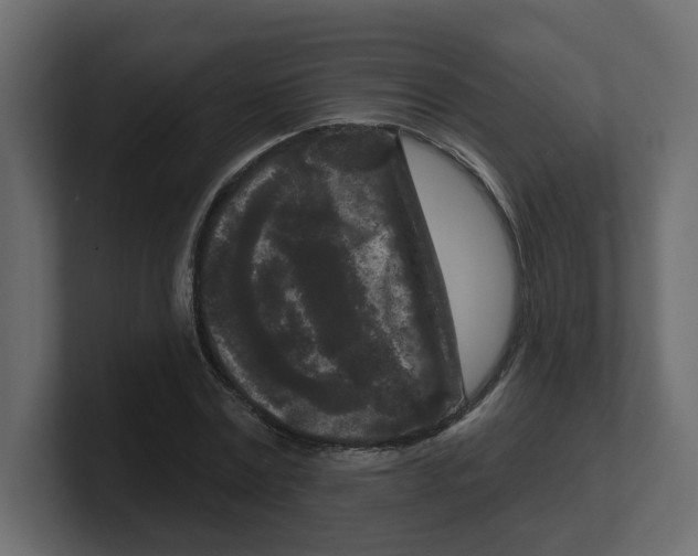 X0000100360779200806271423