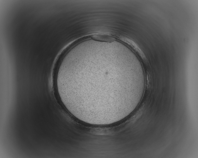 X0000100360780200806271423