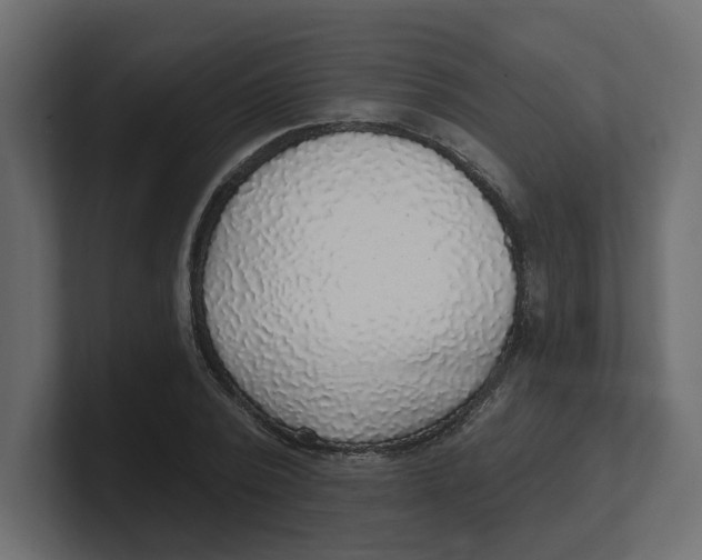 X0000100360784200806271423