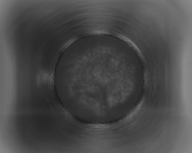 X0000100360785200806271422