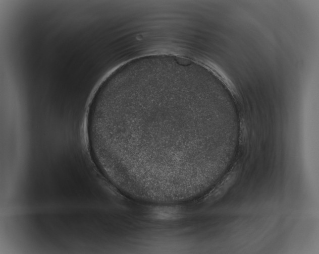 X0000100360788200806271422