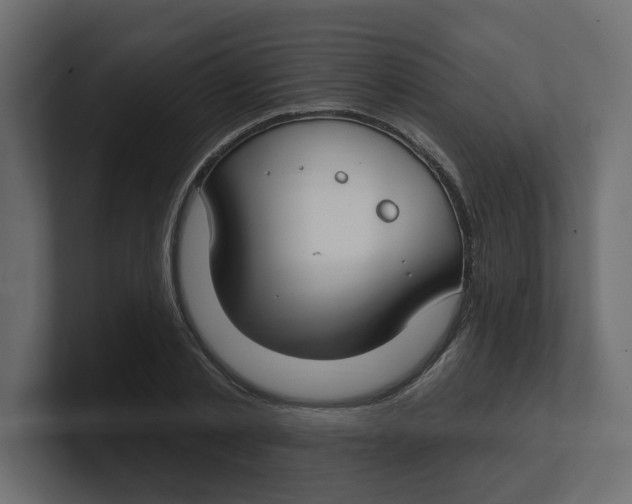 X0000100360789200806271422