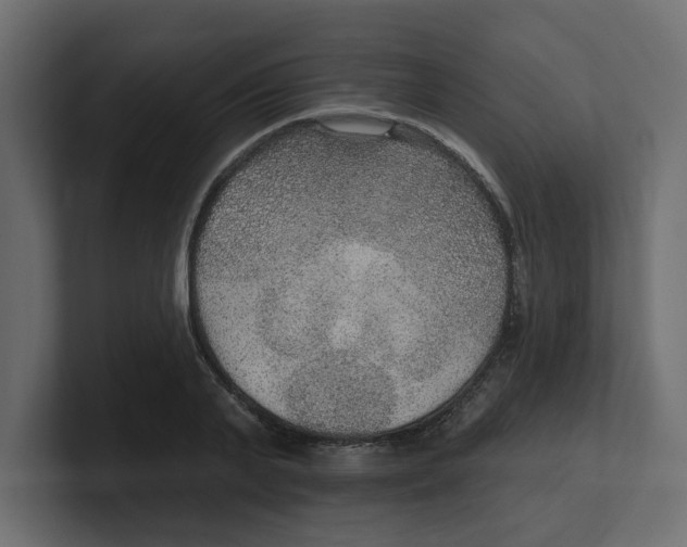 X0000100360791200806271422