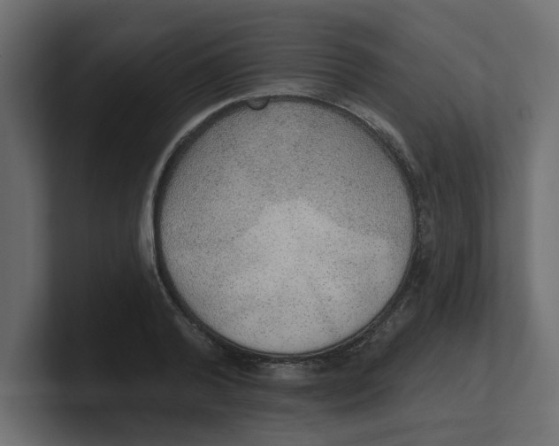 X0000100360792200806271422