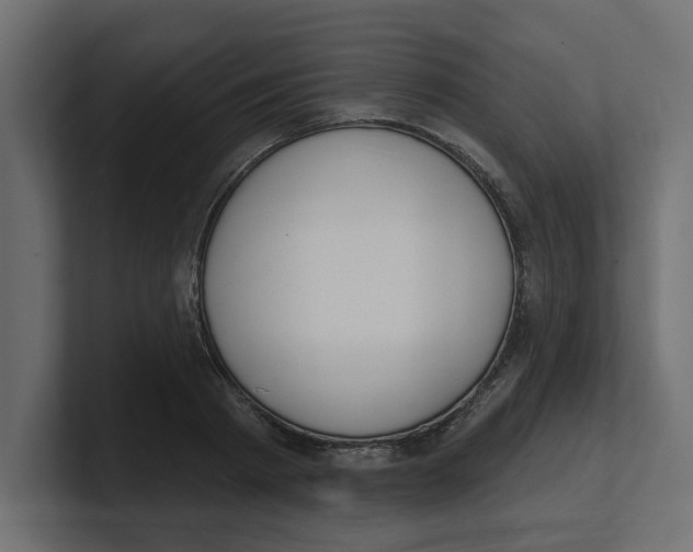 X0000100360793200806271422