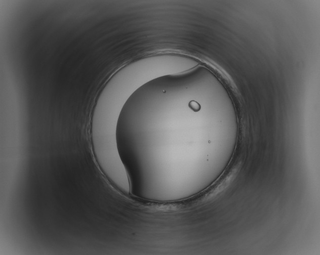 X0000100360801200806271422