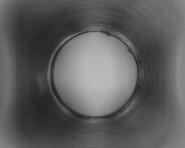 X0000100360803200806271422