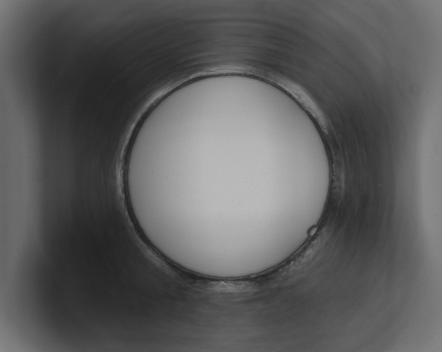 X0000100360805200806271422