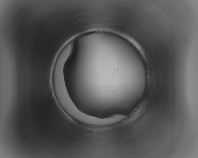 X0000100360807200806271422