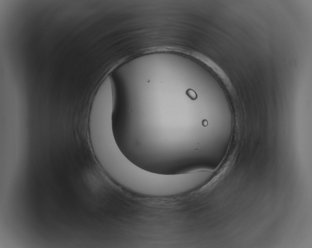 X0000100360809200806271422