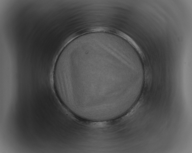 X0000100360810200806271422