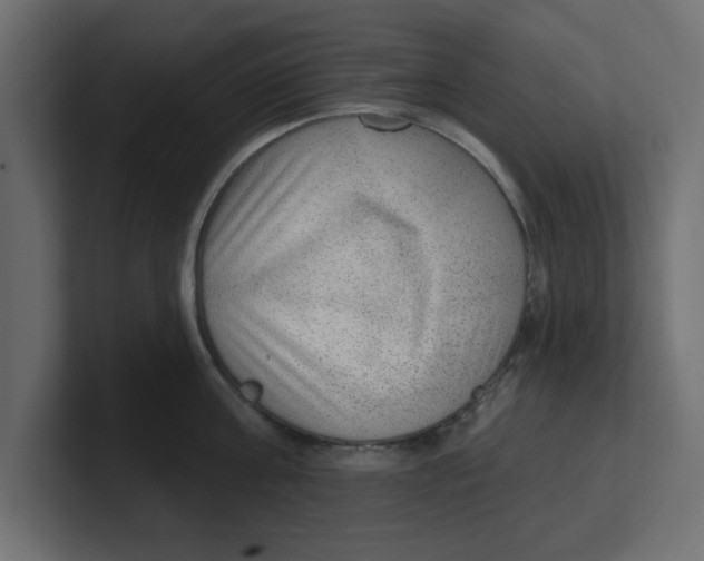 X0000100360811200806271422