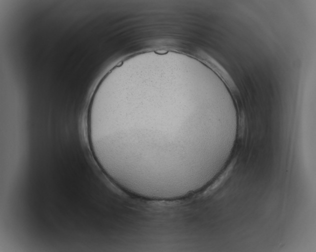 X0000100360812200806271422