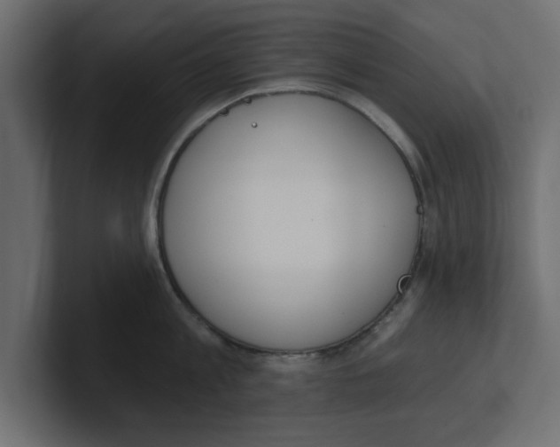 X0000100360813200806271422