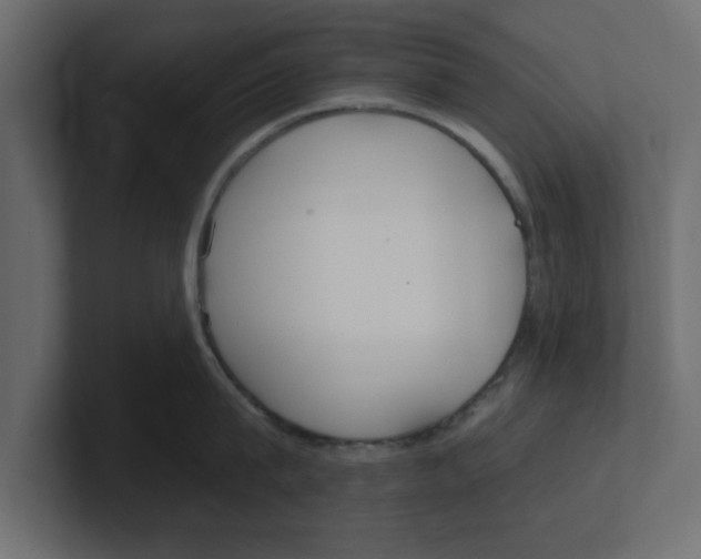 X0000100360815200806271422