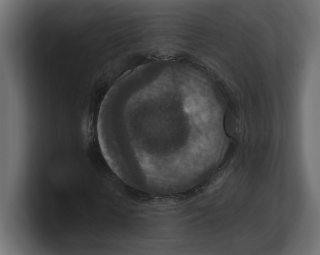 X0000100360818200806271421