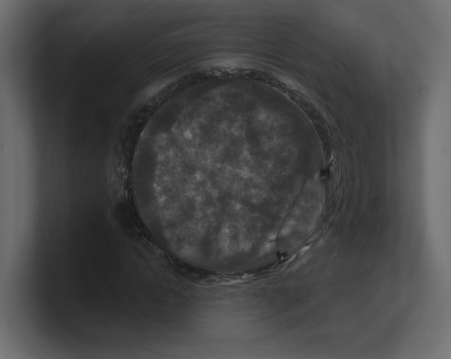 X0000100360822200806271422